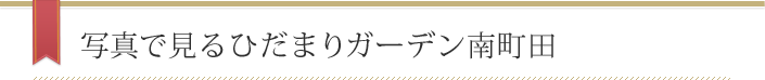 写真で見るひだまりガーデン南町田